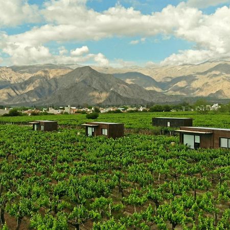 El Porvenir Wine Lodge Cafayate Bagian luar foto