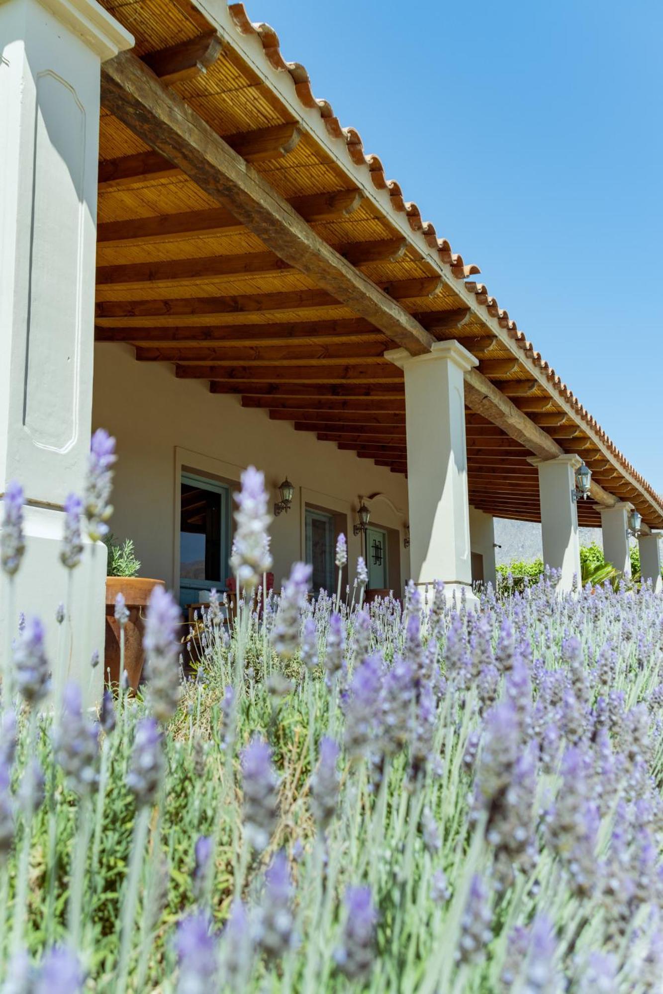 El Porvenir Wine Lodge Cafayate Bagian luar foto