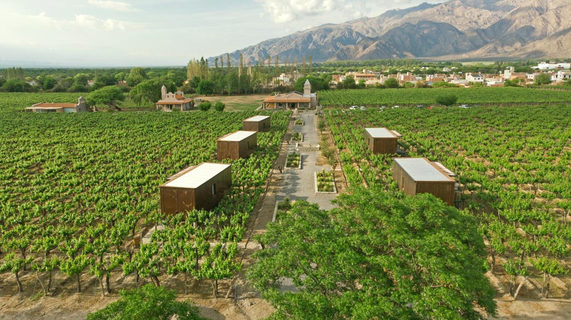 El Porvenir Wine Lodge Cafayate Bagian luar foto