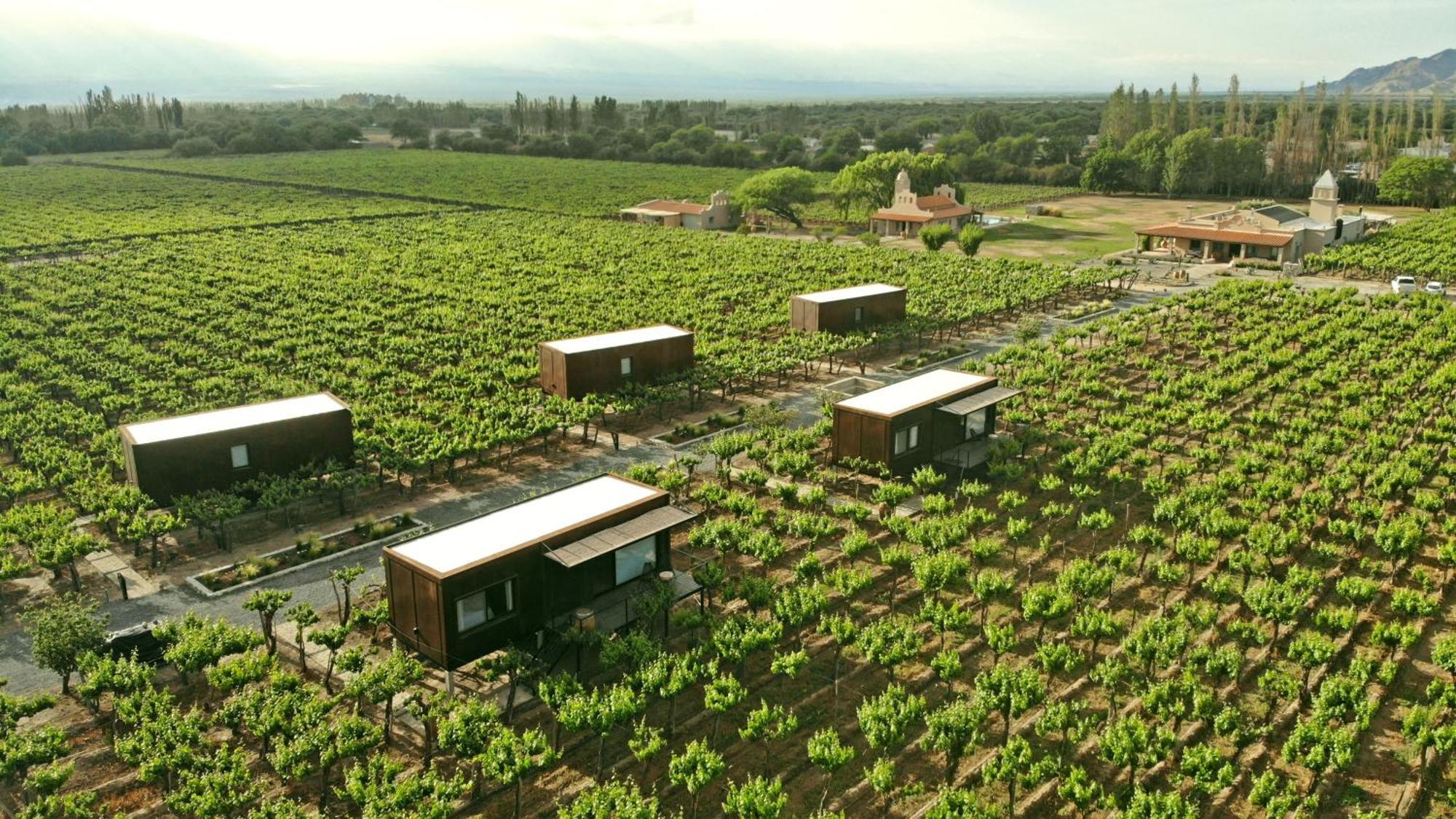 El Porvenir Wine Lodge Cafayate Bagian luar foto