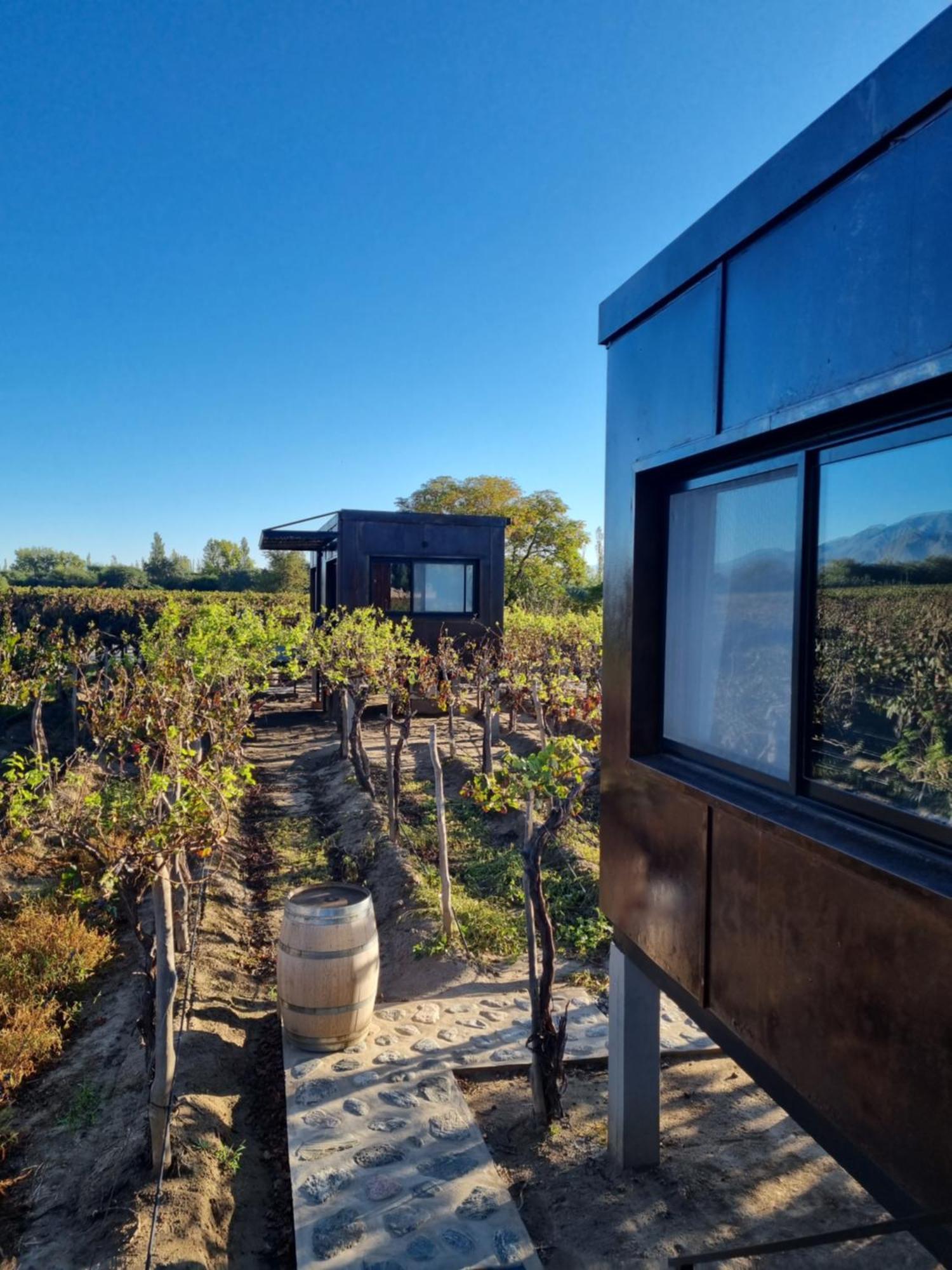 El Porvenir Wine Lodge Cafayate Bagian luar foto